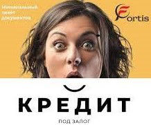 optim capital icredit fortis